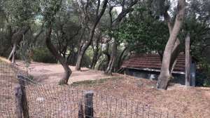 Casa/Rustico Varazze
